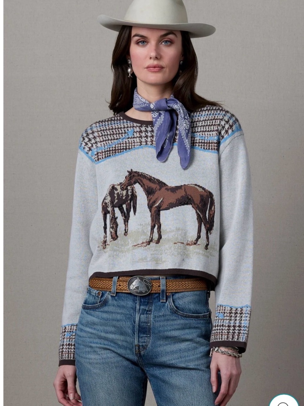 NEW Double D Ranch Horsiculture Crewneck Sweater